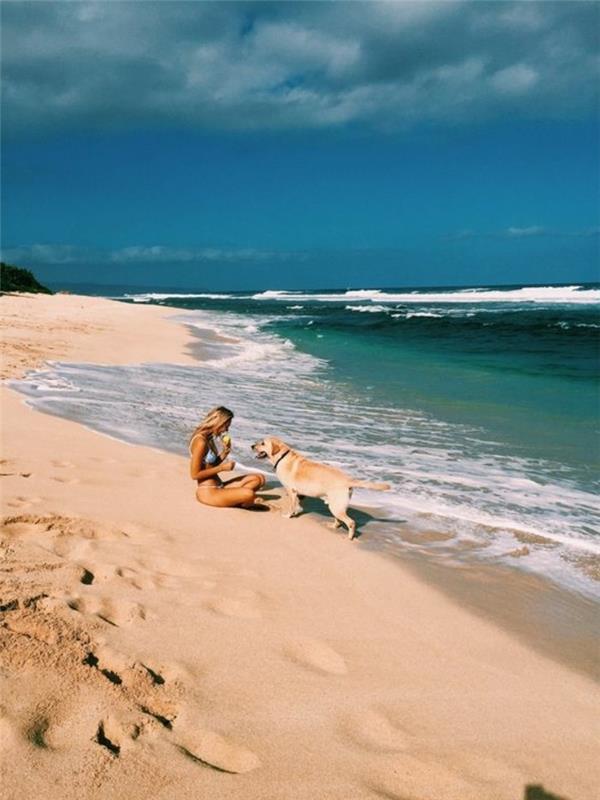 00-photo-paradisiacal-beach-white-sand-on-the-beach-the-best-beach-in-the-world