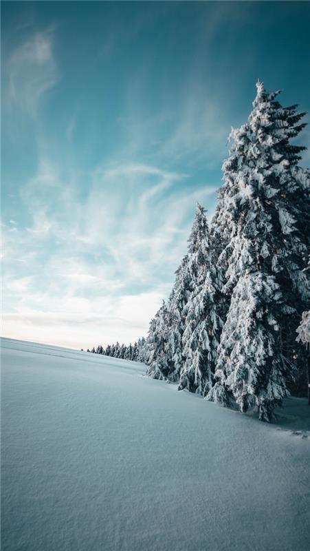 snöigt landskap för smartphone tapeter till jul, vinterfotografering med stora snöiga granar