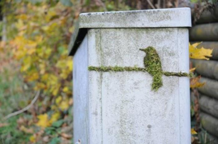 fågel-i-mossa-vegetabiliska-samtida-konstnärer-graffitikonst